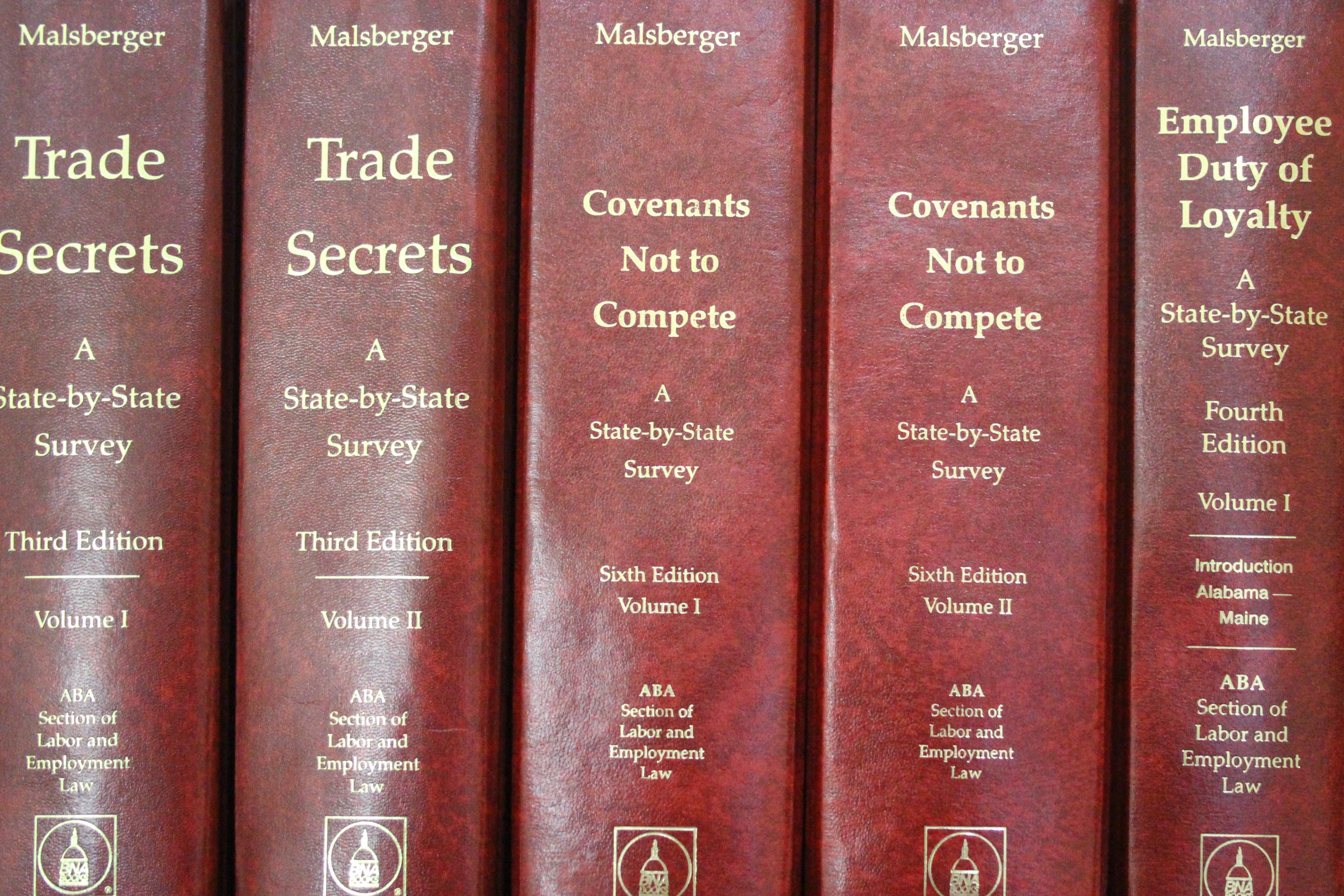 Trade Secrets/Non-Competes/Injunctions
